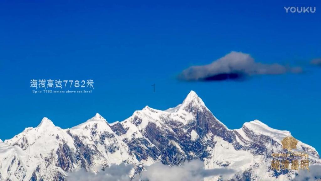 江西德安：“法治体检”进企业 精准把脉助发展