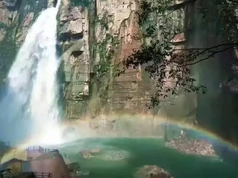 面包失恋老伤心，说要回国相亲，伊娃安慰唱体面，看评论区笑死人