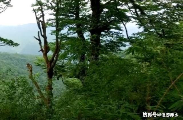 年营收超355亿元 赛力斯依旧净亏27亿元？