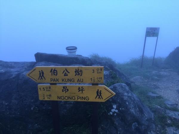 茂密丛林逃生