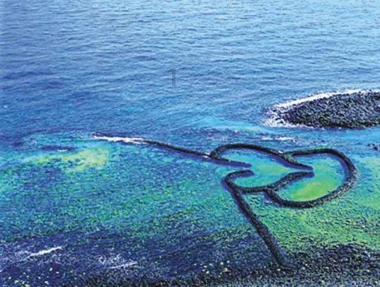 光大期货0130热点追踪:油脂油料大跌,年前还有新低吗?