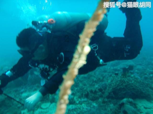 你的室友如何看待你是个沙雕？