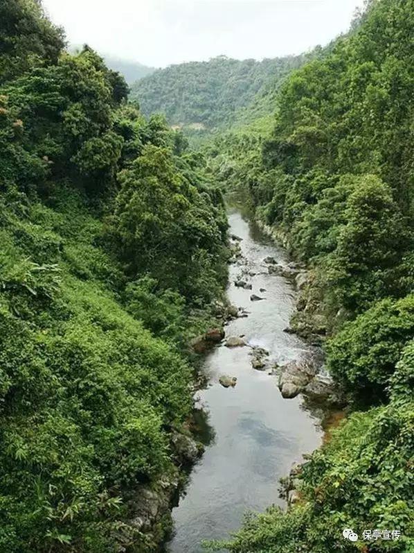 灵魂能力6