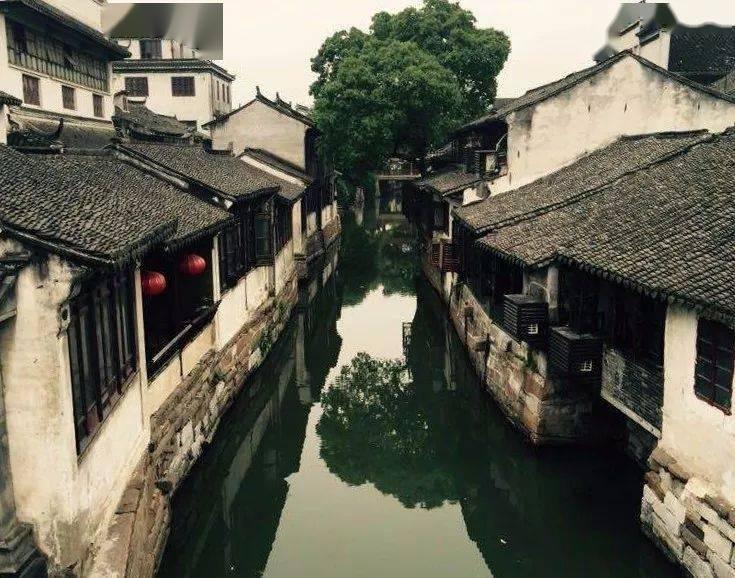 探索蜗牛世界,发现答案的成年了还有鸡皮肤,怎么办呢?平台!