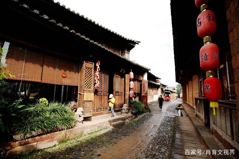 南昌县黄马乡:花卉小产业,赋能新乡村