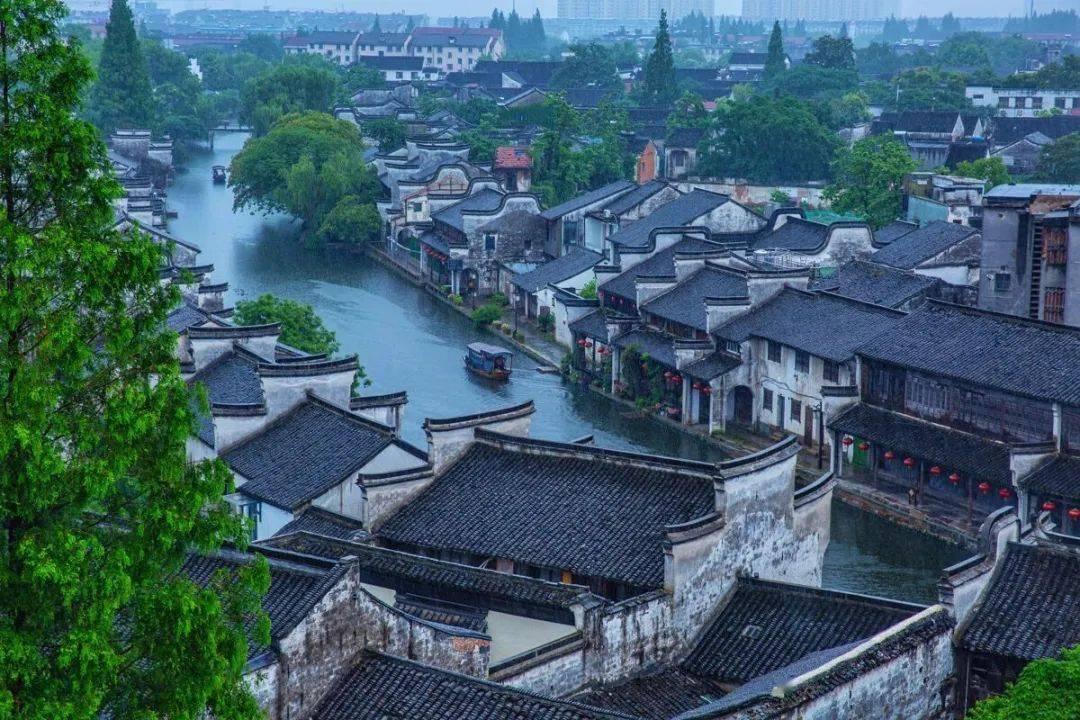 逗小猴开心系列194